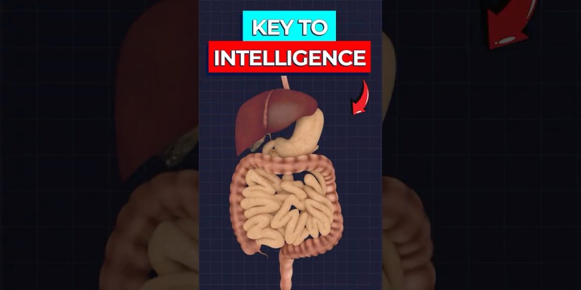 Cognitive Risks Microbial Origins