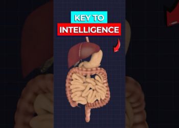Cognitive Risks Microbial Origins
